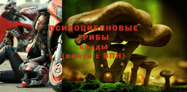 каннабис Абаза