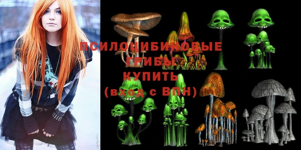 молекула духа Абинск